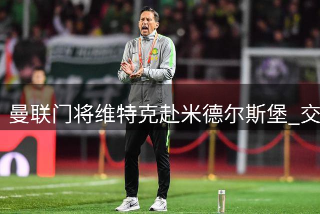 曼联门将维特克赴米德尔斯堡 交易含回购选项